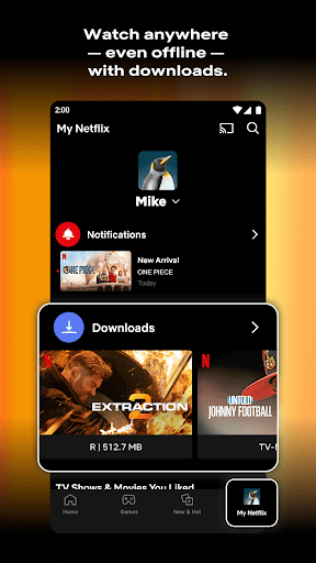 Netflix - screenshot 2