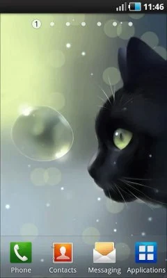 Curious Cat - screenshot 1