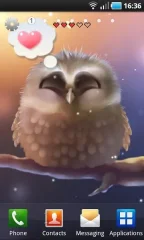 Little Owl - screenshot 2