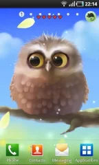 Little Owl - screenshot 3
