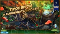 Queen's Quest 4: Sacred Truce - screenshot 3