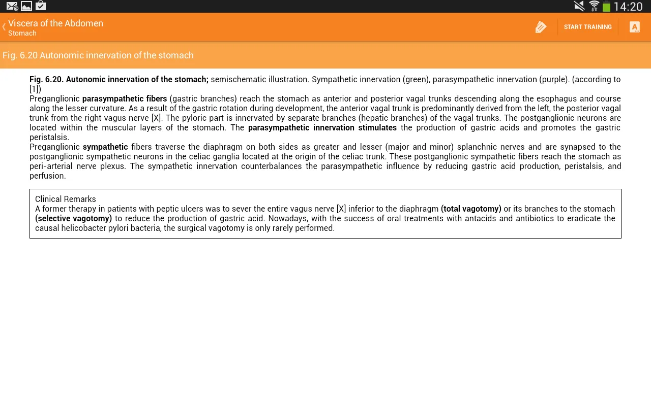 Sobotta Anatomy - screenshot 2