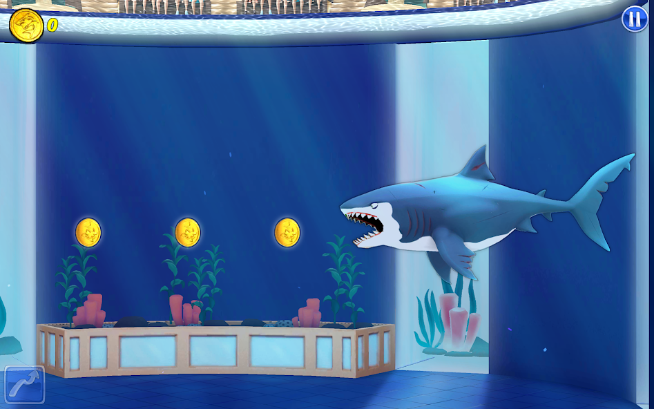 My Shark Show - screenshot 15