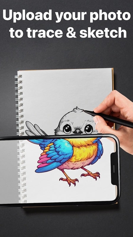 AR Draw Sketch APK - screenshot 4