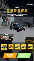 Mad Racing 3D - screenshot 4