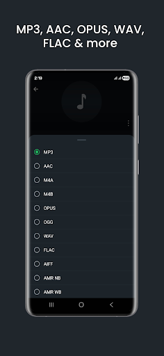 Audio Converter (MP3 AAC OPUS) - screenshot 2