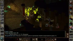 Icewind Dale: Enhanced Edition - screenshot 3