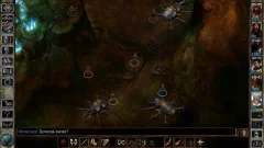 Icewind Dale: Enhanced Edition - screenshot 4