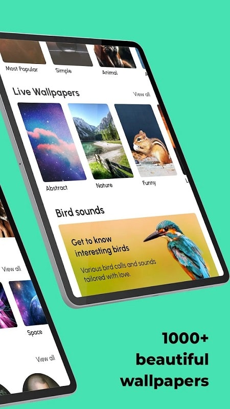 Ringtones for Android APK - screenshot 4