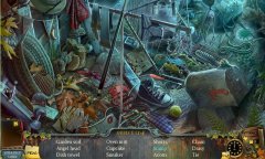 Enigmatis Hidden Object - screenshot 3