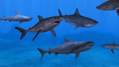 Fish Farm 3 - 3D Aquarium Simulator - screenshot 2