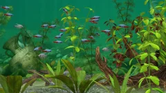 Fish Farm 3 - 3D Aquarium Simulator - screenshot 4