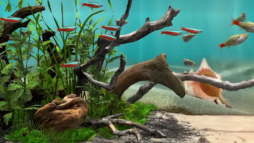 Fish Farm 4 - screenshot 1