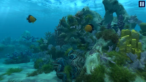 Fish Farm 4 - screenshot 5