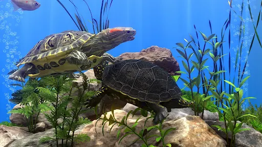 Fish Farm 4 - screenshot 6