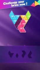 Block! Triangle puzzle: Tangram - screenshot 2