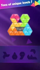 Block! Triangle puzzle: Tangram - screenshot 3