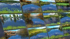 BIGFISH KING - screenshot 1