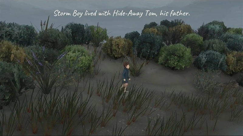 Storm Boy APK - screenshot 1