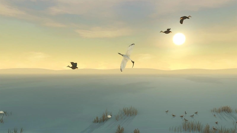 Storm Boy APK - screenshot 2