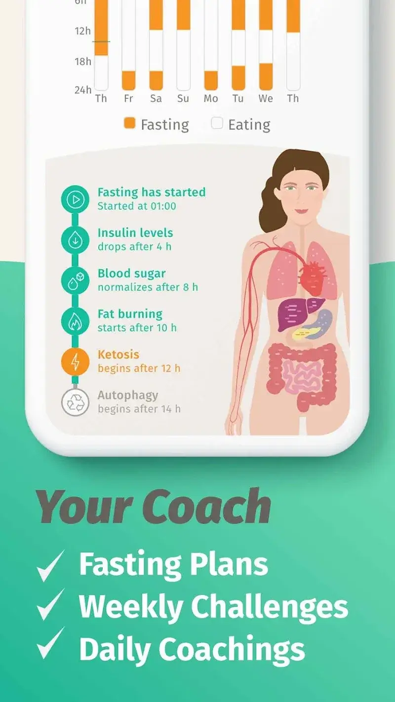 BodyFast - screenshot 4