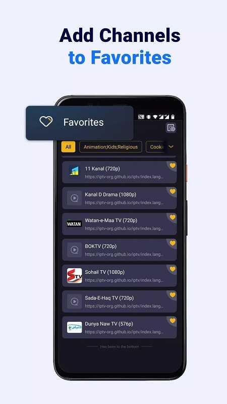 IPTV Player APK - screenshot 4