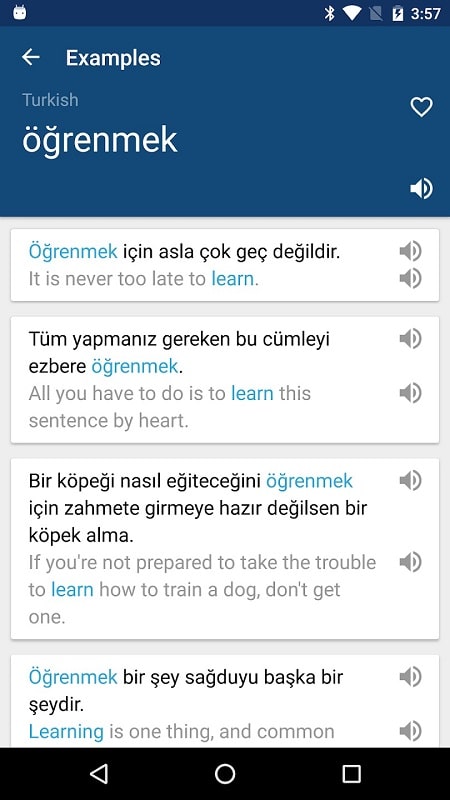 Turkish English Dictionary - screenshot 1