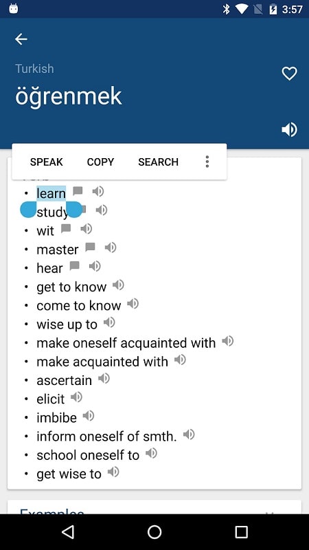 Turkish English Dictionary - screenshot 4