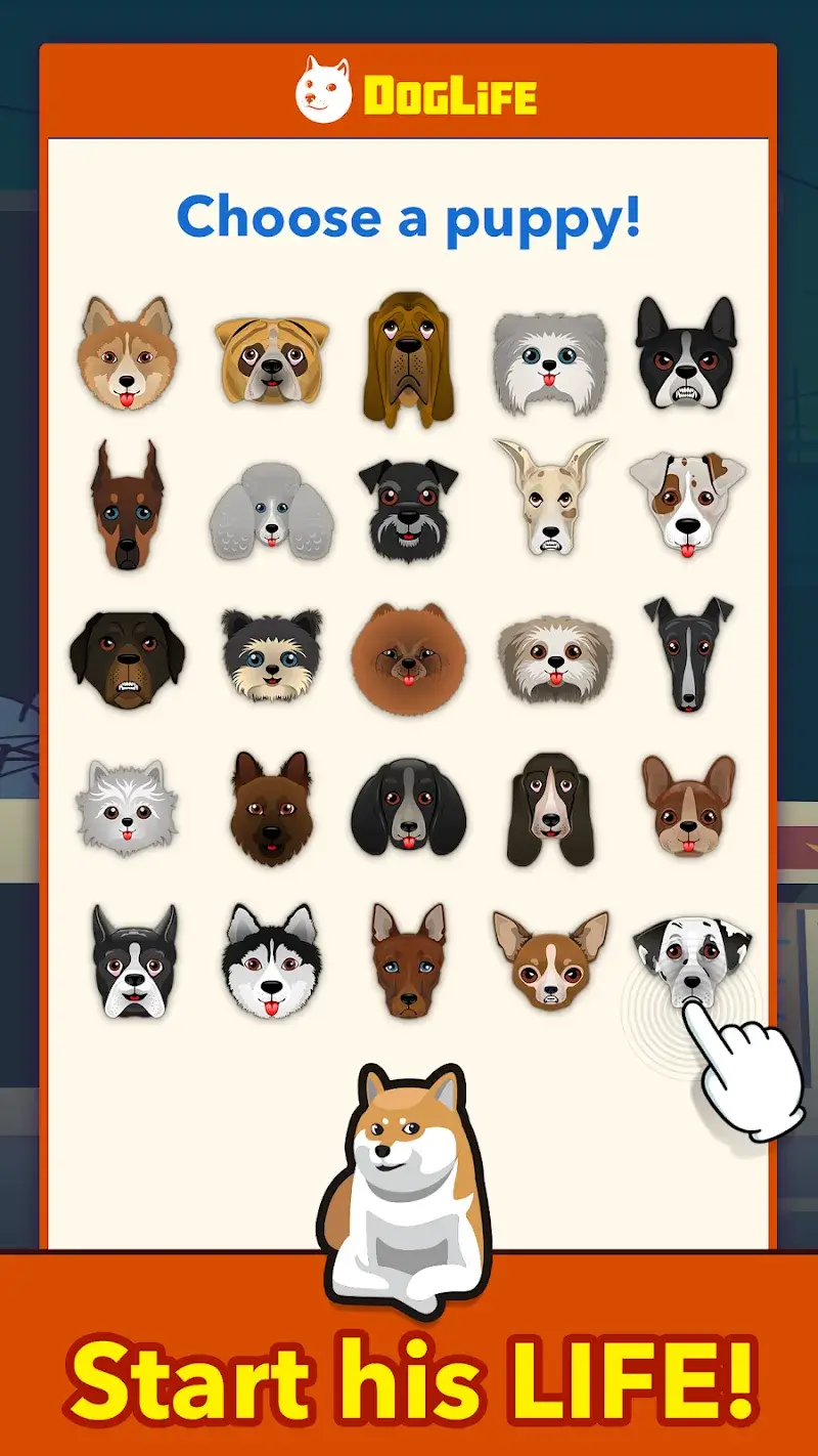 DogLife - screenshot 1