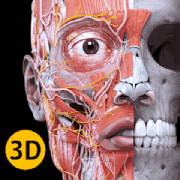 Anatomy 3D Atlas - app icon