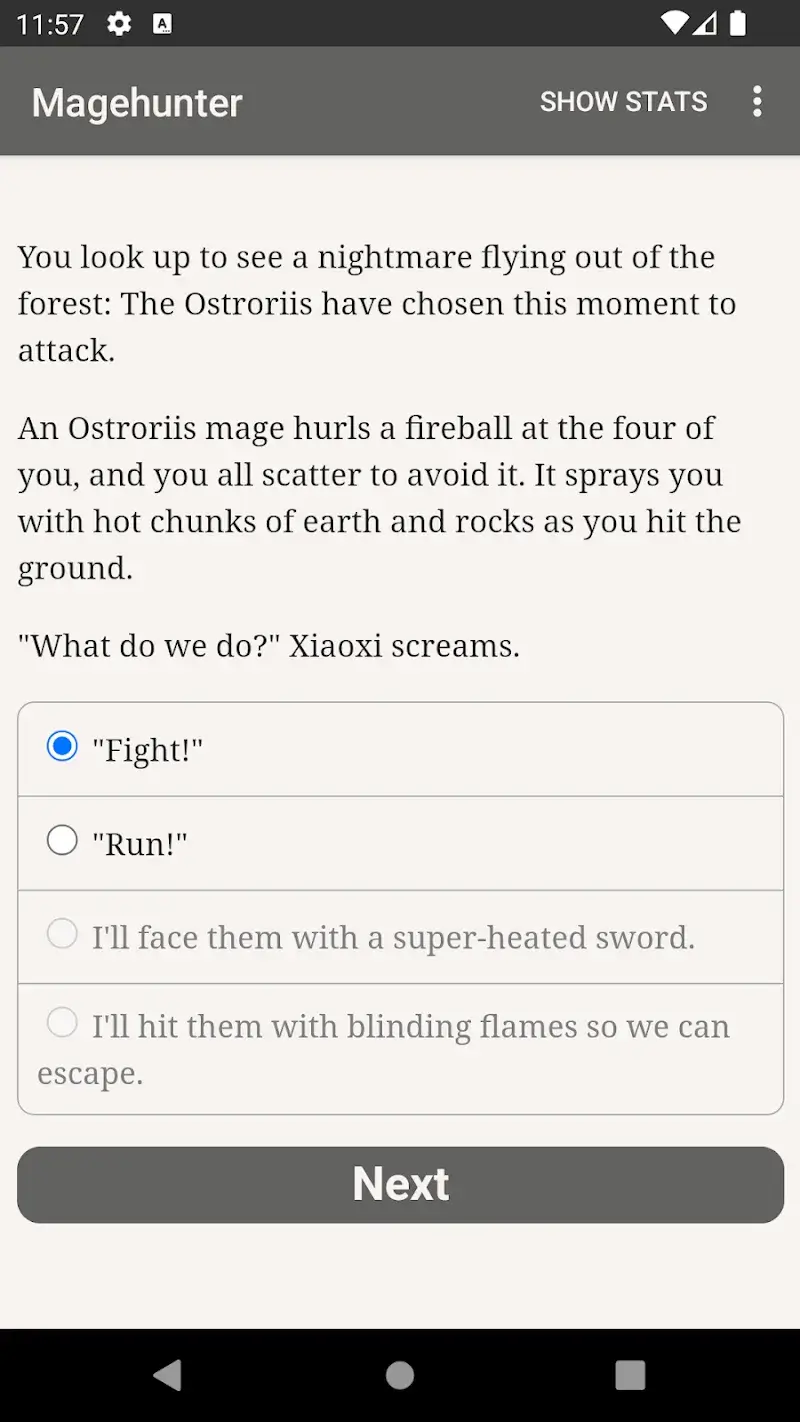 Magehunter Phoenix Flame - screenshot 3