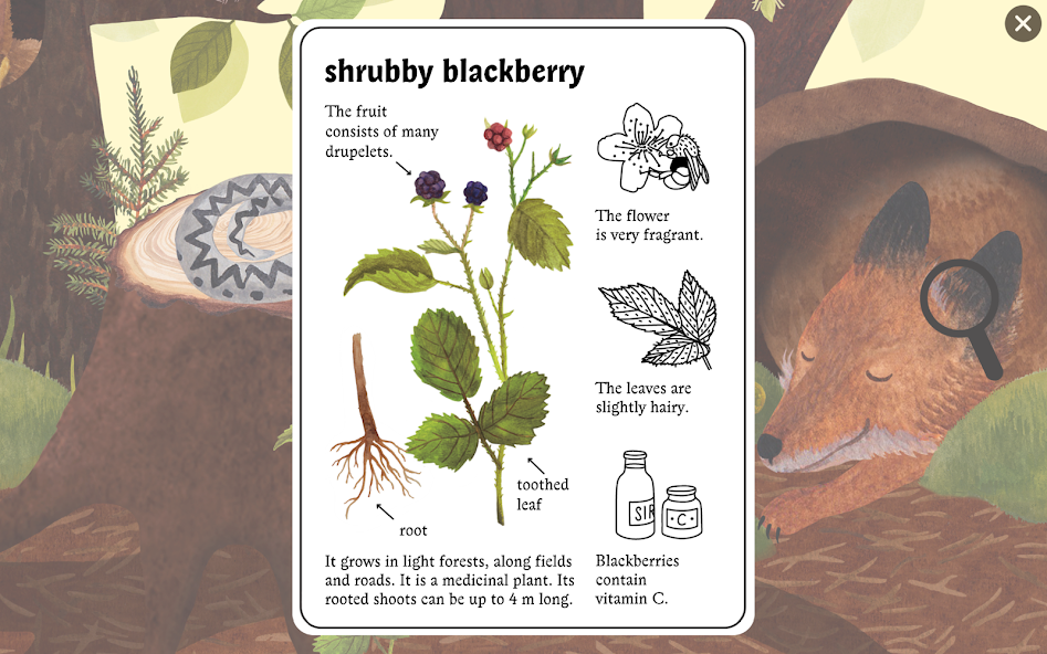 Little Mouse's Encyclopedia - screenshot 4