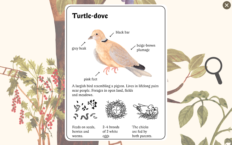 Little Mouse's Encyclopedia - screenshot 6