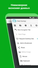 Puffin Web Browser - screenshot 2