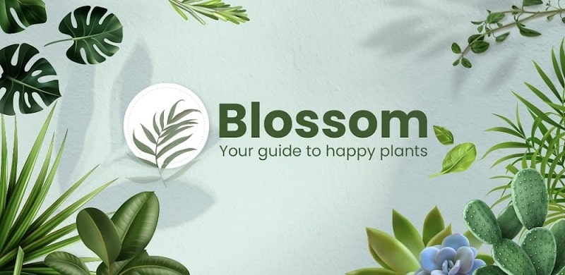 Blossom APK - app icon