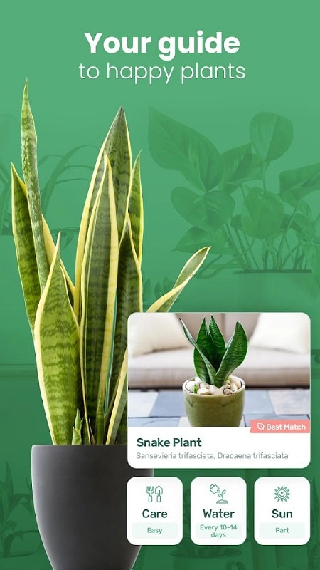 Blossom APK - screenshot 2