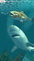 Rapala Fishing - Daily Catch - screenshot 1