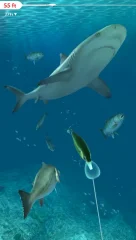 Rapala Fishing - Daily Catch - screenshot 2