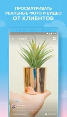 Wish - Shopping Made Fun - screenshot 4