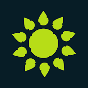 Dune Surfer - screenshot 2