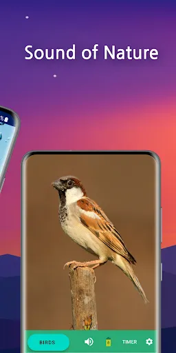 Sleep Faster, Meditation Pro 2.14.98 APK + MOD [Extra, AD-Free] - screenshot 2