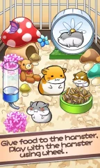 Hamster Life - screenshot 1