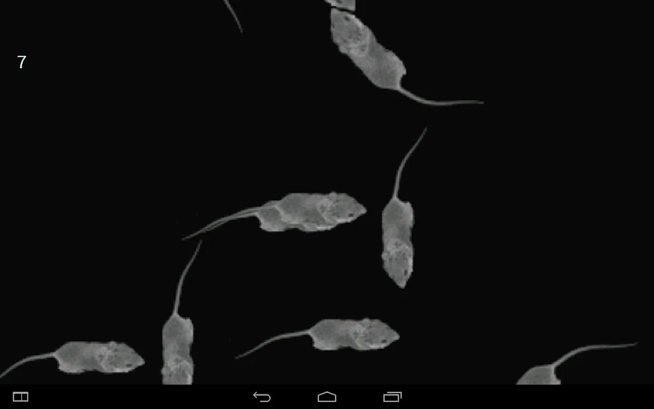 Mice Catch - Cat Game - screenshot 15