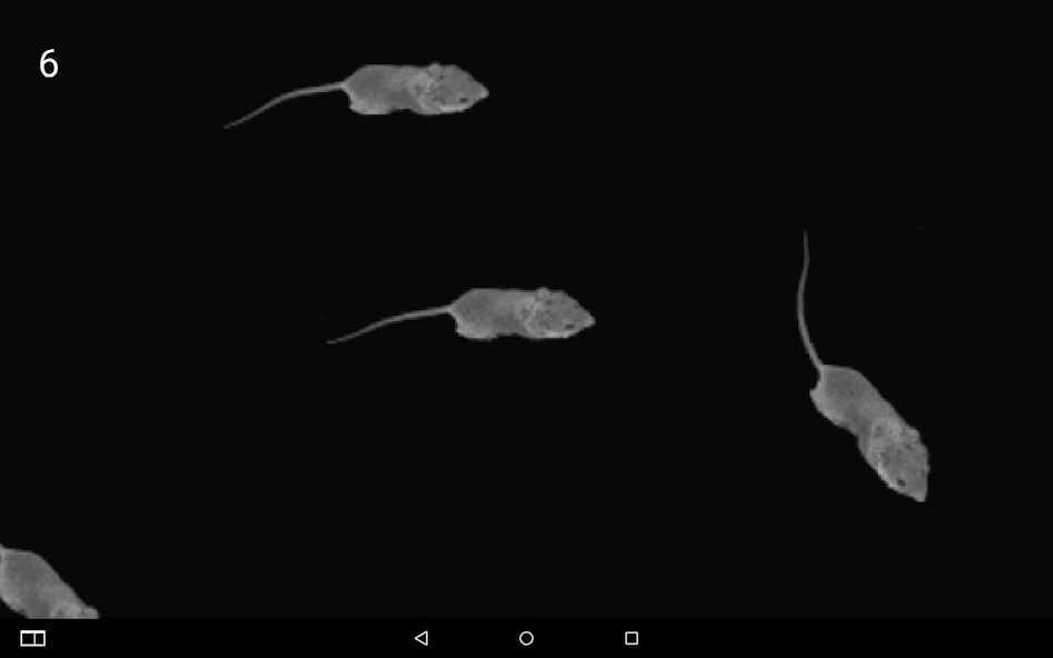 Mice Catch - Cat Game - screenshot 18