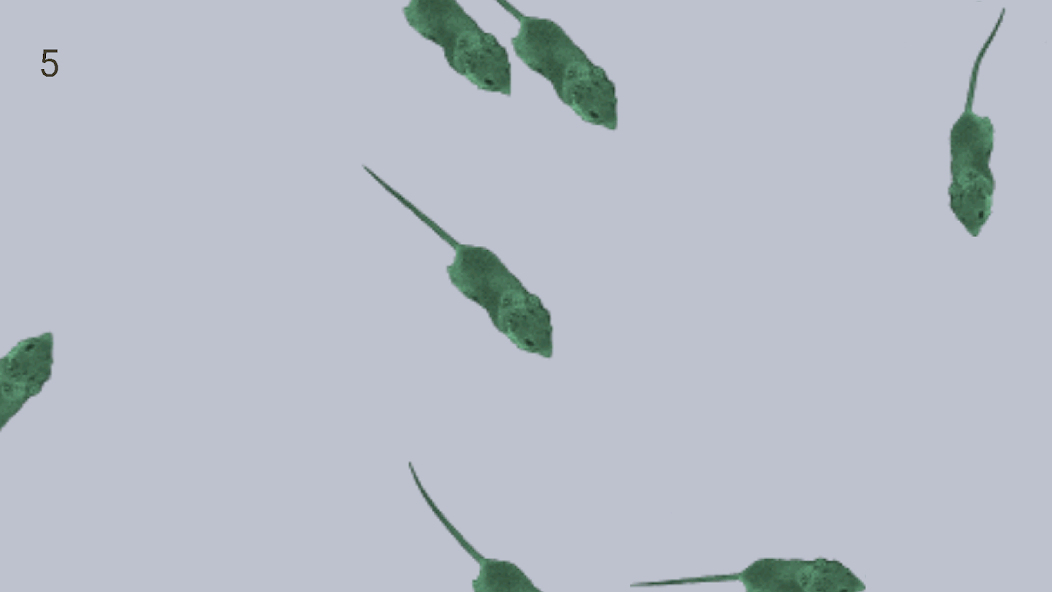 Mice Catch - Cat Game - screenshot 7