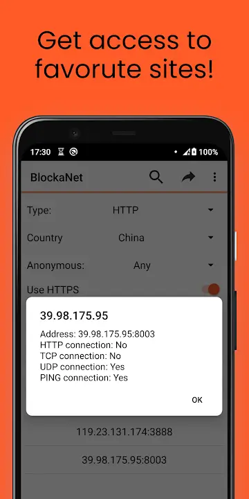 BlockaNet - screenshot 1