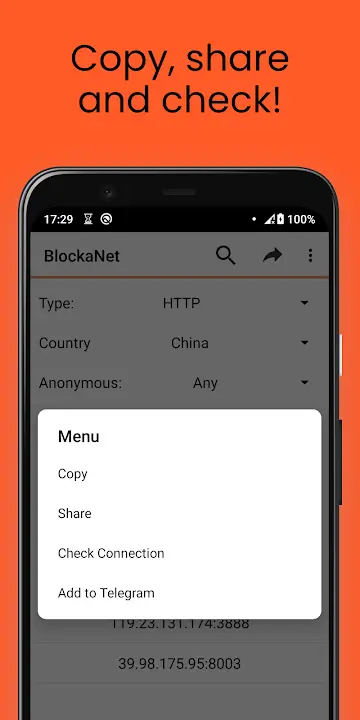 BlockaNet - screenshot 2