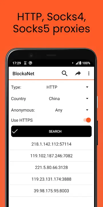 BlockaNet - screenshot 3
