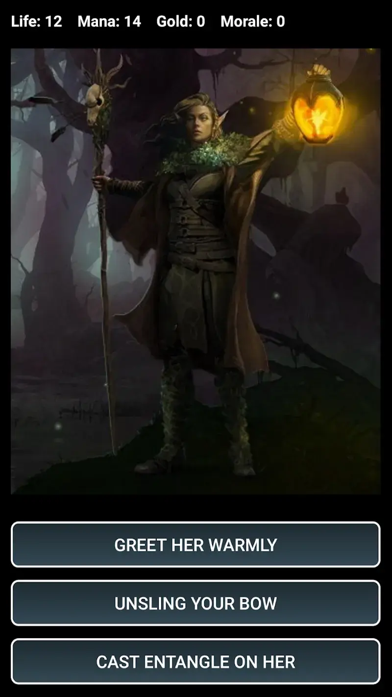 Dungeons and Decisions RPG - screenshot 2