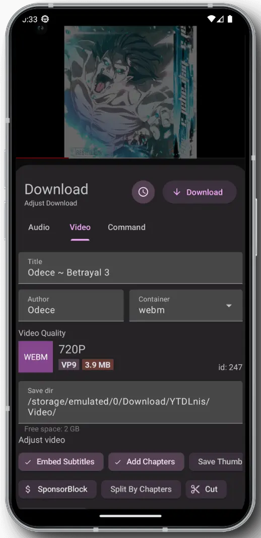 YTDLnis Downloader - screenshot 1